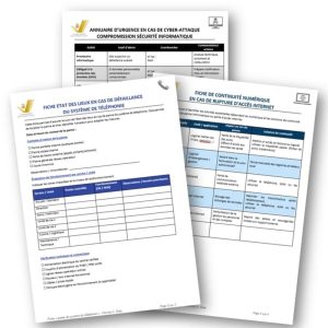 Fiches réflexes de crise - Risques informatiques ESSMS