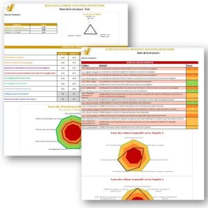 Outil auto-évaluation HAS ESSMS