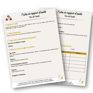 Rapport d'audit (modèle)