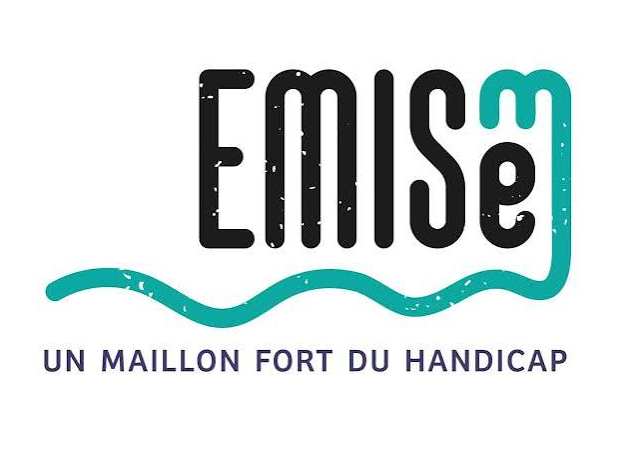 EMISEM